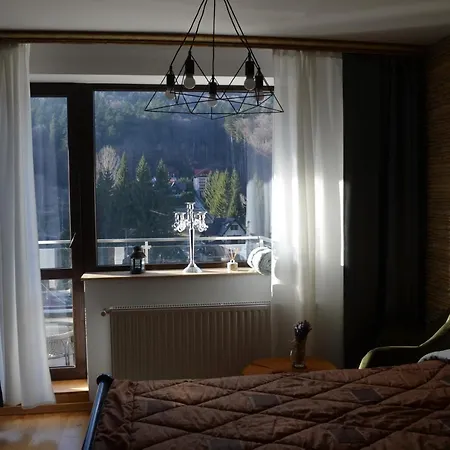 Sinaia Apart