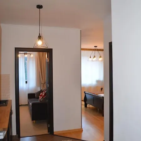 Sinaia Apart *