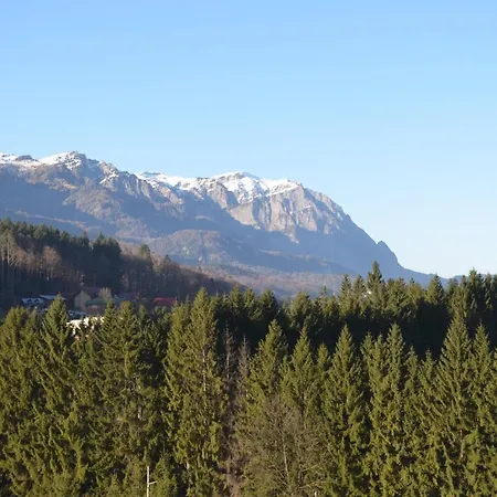Sinaia Apart Apartment *